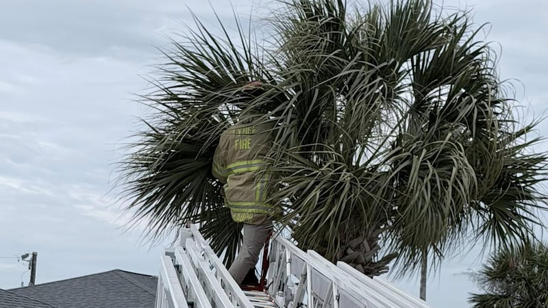 Rescate en las alturas con un final final en Tybee Island.