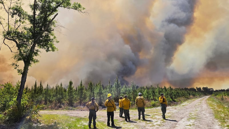 This photo provided by the Georgia Department of Natural Resources shows firefighters...