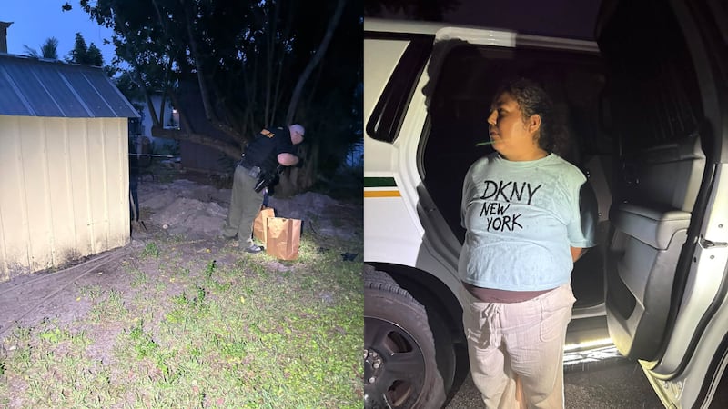 The Martin County sheriff said two cats survived and two others were found dead.