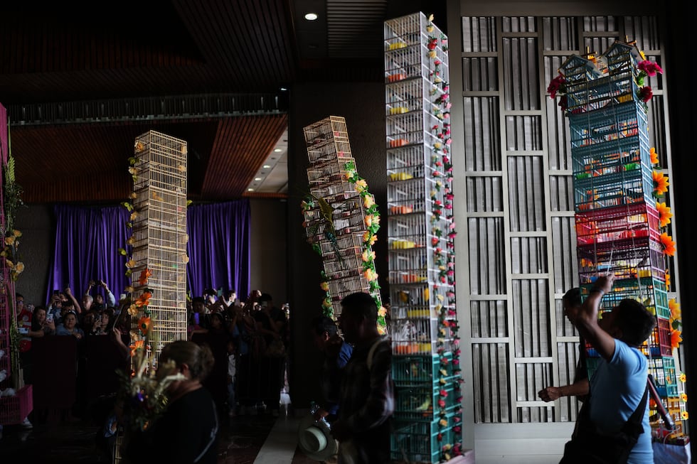 Vendedores de aves con jaulas decoradas ingresan a la Basílica de Guadalupe durante su...