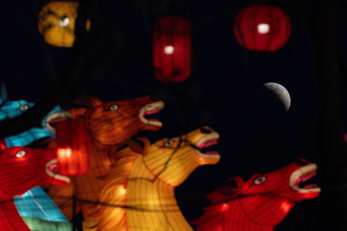 preloaded gallery image