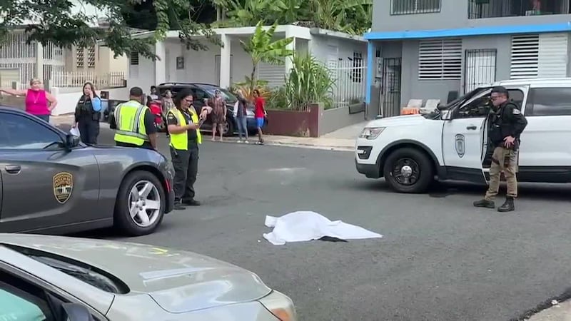 Arrestado por matar brutalmente a su perro en plena calle, según la policía. Vecinos veían que...