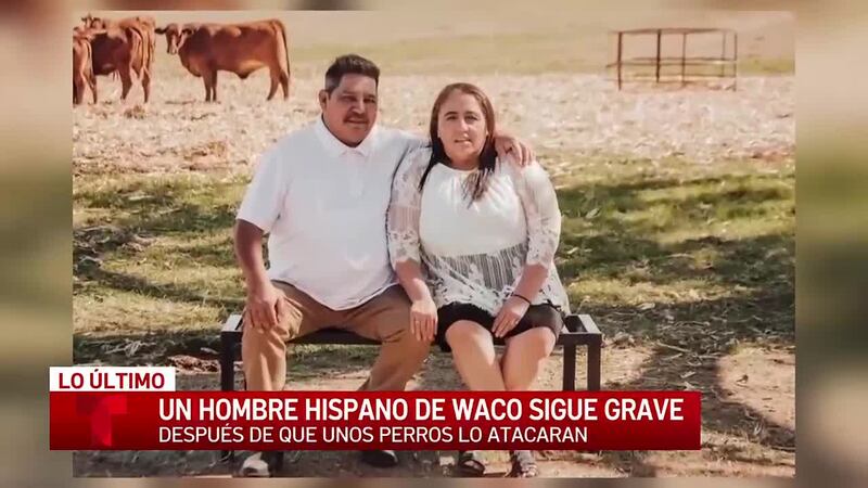 “Él todavía está peleando”: Un hombre hispano de Waco permanece en cuidados intensivos tras...